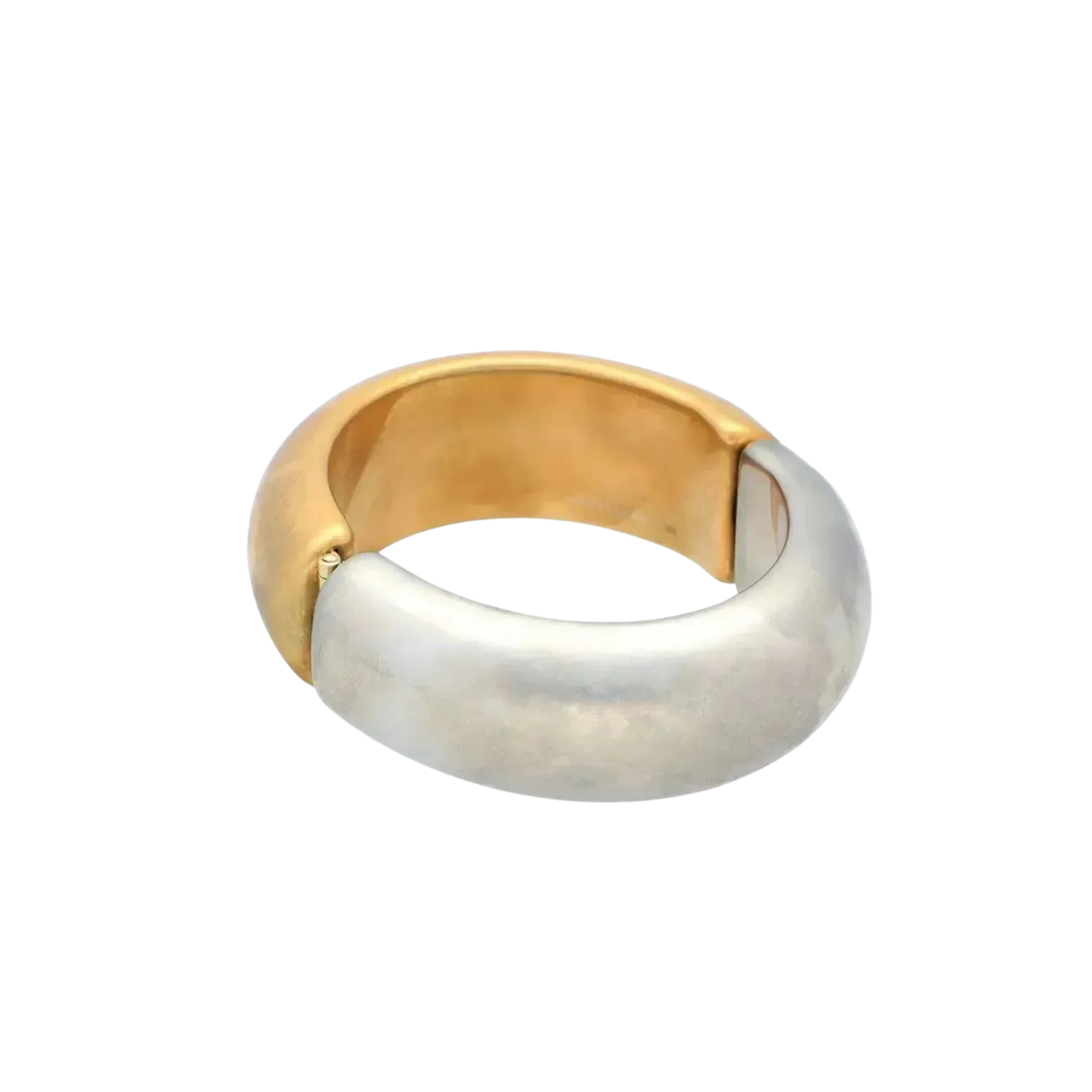 Vanessa Baroni Armreif